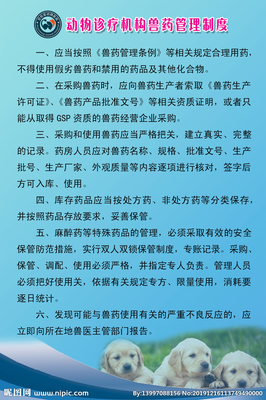 宠物展板设计图__PSD分层素材_PSD分层素材_设计图库